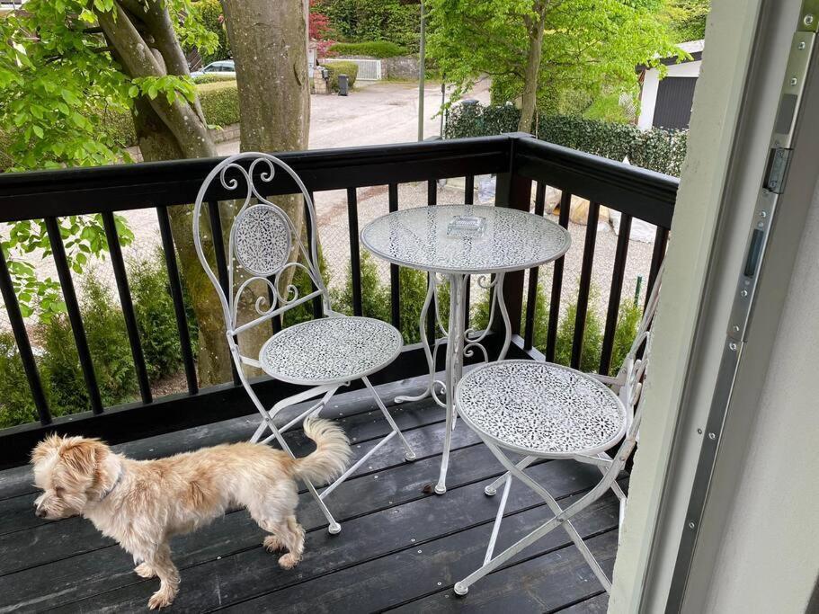 Ferienwohnung Thalia Berg am Starnberger See Ngoại thất bức ảnh